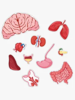 BarboToys Spil & Puslespil-Barbo Toys Body Puslespil Dreng 36 Brikker