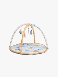 Babylegetøj|Beemoo PLAY Pals River Aktivitetscenter Flerfarvet