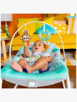 BrightStarts Skråstole & Babygynger-Bright Starts Wild Vibes Skråstol