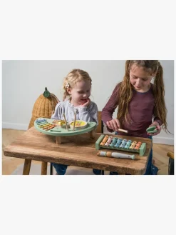 Motorisk Legetøj|Dantoy Musiksæt Wooden In Gift Box