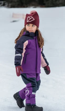 Termotøj|Vintertøj|Didriksons Idre Overtræksbukser, Royal Purple Lilla/Sort