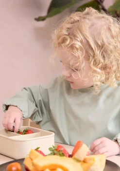 FILIBABBA Spisetid- Langærmet Hagesmæk, Desert Sage