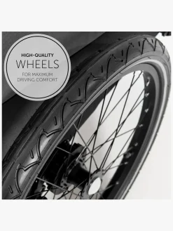 Hauck Aktivitetsvogne-Dryk Duo Cykelanhænger, Grey