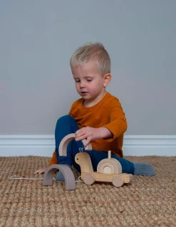 Børn JaBaDaBaDo Trælegetøj|Legetøj Til Børn På 0-10 År-Træklegetøj Snegl med Regnbue