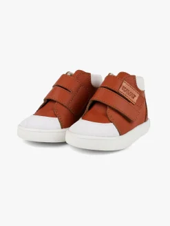 Begyndersko|Kavat Fiskeby Begyndersko, Light brown