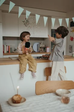 Kidywolf Elektronik & Media-KIDYMIC Karaokemikrofon All-in-One, Pink