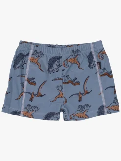 Uv & Strand|Lindberg Thor Badebukser, Goblin Blue Blå/Orange/Brun