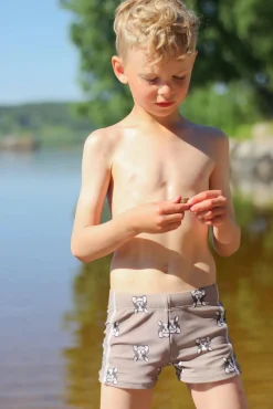 Uv & Strand|Lindberg Thor Badeshorts, Greige Beige/Grå