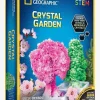 NationalGeographic Eksperimenter & Videnskab-National Geographic Crystal Garden Eksperimentsæt