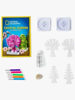 NationalGeographic Eksperimenter & Videnskab-National Geographic Crystal Garden Eksperimentsæt