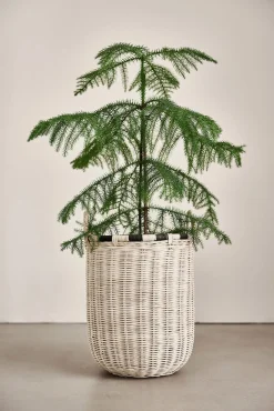 Opbevaring|OYOY Boo Opbevaringskurv Høj, Natur