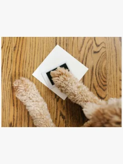 Interiør|Pearhead Best friends forever Ramme