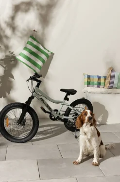 Cykler|Pinepeak Forest Børnecykel 20 Tommer