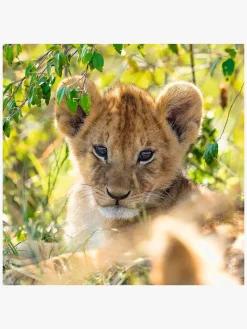 Ravensburger Spil & Puslespil-Puslespil Panda, Lion and Tiger 3x49 Brikker