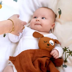 Stofbleer, Nusseklude & Babytæpper|Roommate Nusseklud Hund, Brown Brun