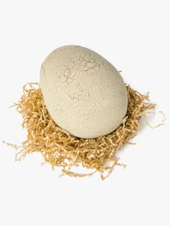 Interaktivt Legetøj|SpinMaster Spin Master Primal Hatch Legetøj Hatching Dinosaur