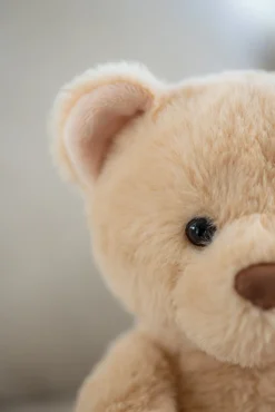 Dukker & Bamser|Teddykompaniet Bamse Hjalmar, Beige