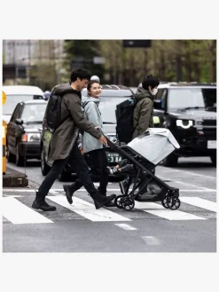 Thule Vogntilbehør-Shine Kaleche Luftrenser, Blue