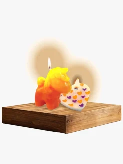 Eksperimenter & Videnskab|ToyRock STEM Lysfabrik