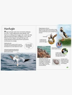 Bøger|GlobeForlaget Ud i naturen - Fugle