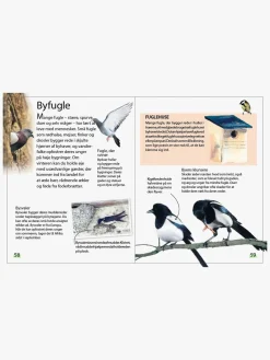 Bøger|GlobeForlaget Ud i naturen - Fugle